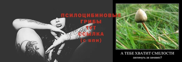 мет Галич