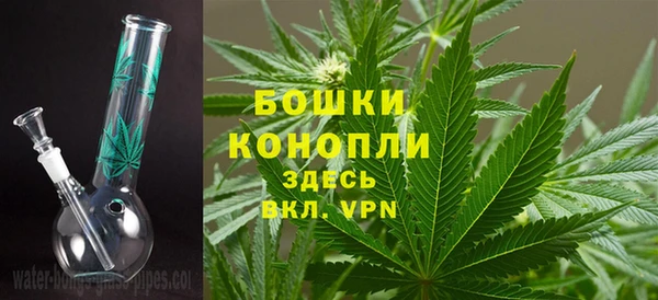 каннабис Белокуриха