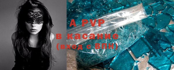 сатива Белоозёрский