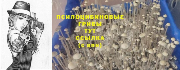 ALPHA PVP Нягань