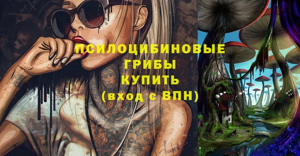 мяу мяу мука Осинники