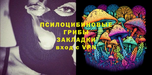 ECSTASY Новозыбков