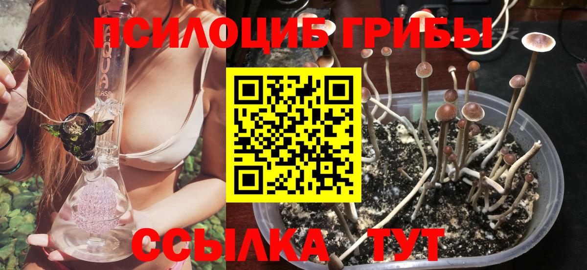 Псилоцибиновые грибы мухоморы Калининград