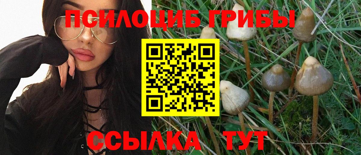 Псилоцибиновые грибы GOLDEN TEACHER  Галлюциногенные грибы прущие грибы  Калининград 