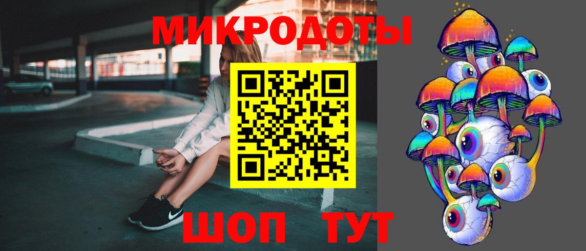 МЕФ Калининград