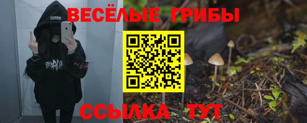 Галлюциногенные грибы Psilocybine cubensis  Вход с VPN  Калининград  Псилоцибиновые грибы мухоморы 